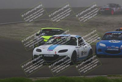 media/Jan-17-2026-CalClub SCCA (Sat) [[6b87d8fe28]]/Qual 3/Turn 3/